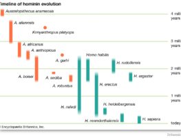 Sapiens: A Brief History of Humankind